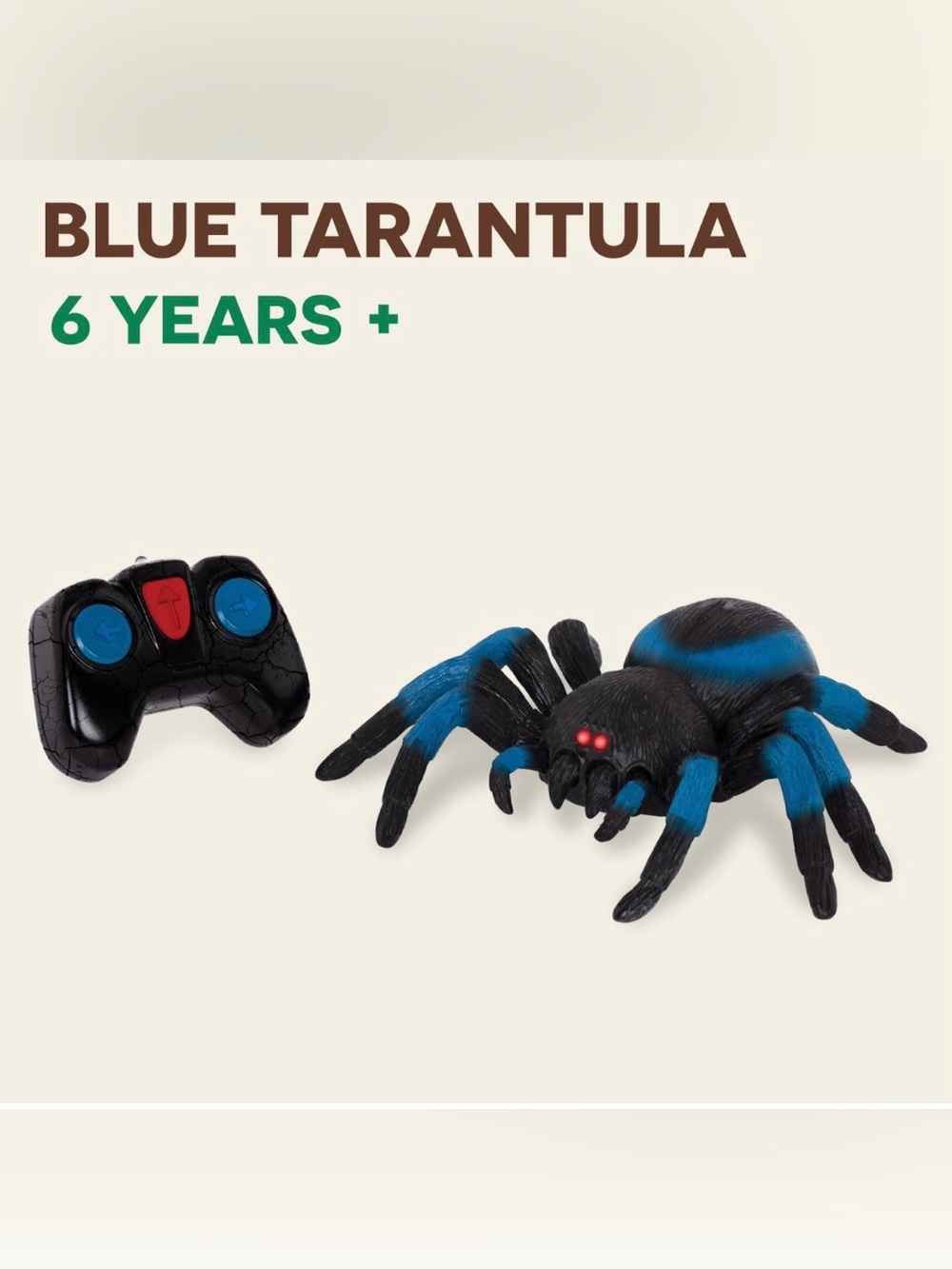 Remote Tarantula Spider - Picture 6 of 10
